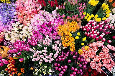 Steam Deck改进型曝光 升级了网络和蓝牙